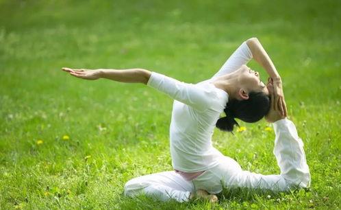 大龙球瑜伽成人教学视频,轻松入门，享受健康生活