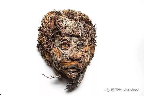 木头变成人形视频,从原木到人形的奇幻之旅