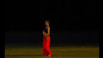 古典成人独舞简单视频,优雅与力量的完美演绎