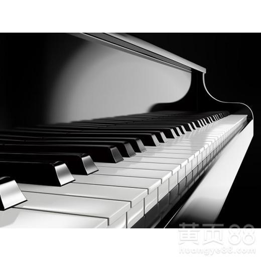 成人钢琴灵活训练视频,跟随专业视频,解锁指尖舞动奥秘