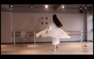 舞蹈成人班男士教学视频,成人班男士舞蹈教学视频精华解析