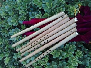 成人竹子竖笛怎么吹视频