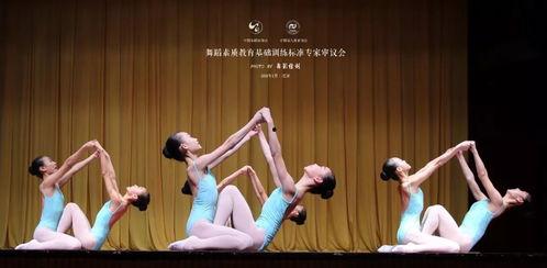 成人舞蹈阿勒泰教学视频,领略民族风情的舞动魅力