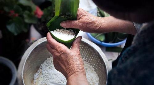 韩国成人粽子视频,传统与现代的完美融合