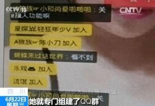 成人视频网站1,内容、影响与监管探讨