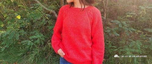 成人紫色毛衣直播视频,时尚穿搭与互动体验