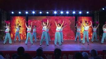 成人舞蹈图文并茂视频,成人舞蹈图文并茂视频赏析